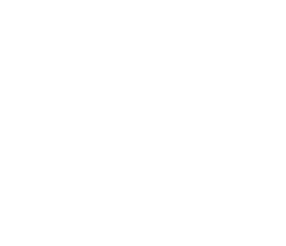 Service illustration